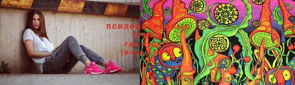 стафф Аркадак