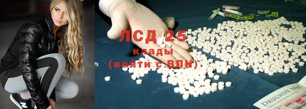 ГАЛЛЮЦИНОГЕННЫЕ ГРИБЫ Баксан