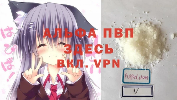 стафф Аркадак