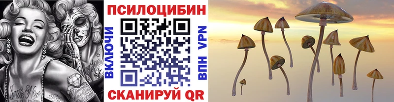 мега ссылки  Советский  Псилоцибиновые грибы Cubensis 
